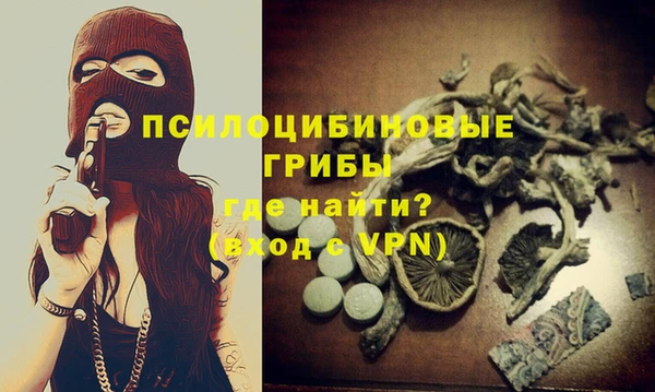 хмурый Алексеевка