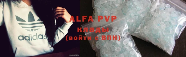 гашик Осташков