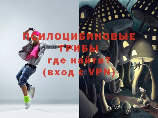 бошки Абинск