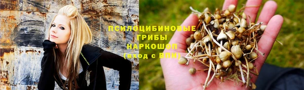 спиды Осинники