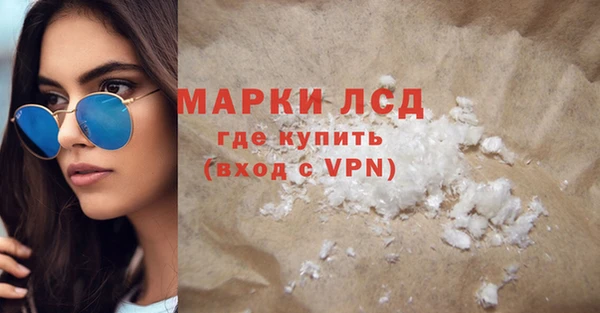 гашик Осташков